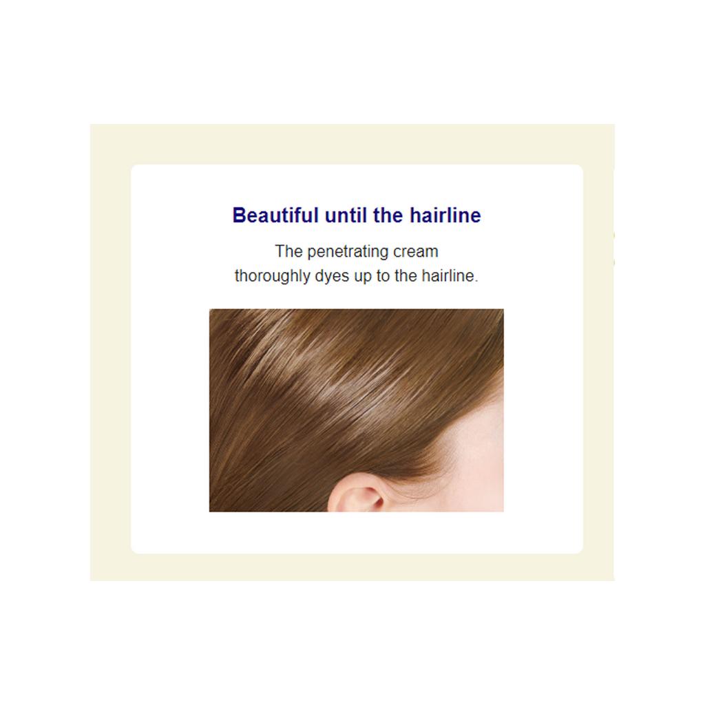 Dariya -Dariya Salo De Pro Hair Color Non Smell  | #2 Light Brown - Hair Dye - Everyday eMall
