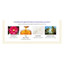 Dariya -Dariya Salo De Pro Hair Color Non Smell  | #5 Natural Brown - Hair Dye - Everyday eMall