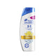 H&S｜2 IN 1 Citrus Fresh Shampoo 400ml