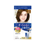 Dariya -Dariya Fragrance-Free Gray Hair Dye Cream Multiple Shades - Hair Dye - Everyday eMall
