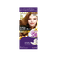 Dariya -Dariya Bubble Hair Dye Multiple Shades - Hair Dye - Everyday eMall