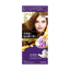 Dariya -Dariya Salo De Pro Foam Hair Color Extra Rich | #4 Light Brown - Hair Dye - Everyday eMall