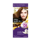 Dariya -Dariya Salo De Pro Foam Hair Color Extra Rich | #4 Light Brown - Hair Dye - Everyday eMall