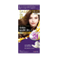 Dariya -Dariya Salo De Pro Foam Hair Color Extra Rich | #5 Brown - Hair Dye - Everyday eMall