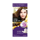 Dariya -Dariya Salo De Pro Foam Hair Color Extra Rich | #5 Brown - Hair Dye - Everyday eMall