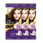 Dariya -Dariya Salo De Pro Foam Hair Color Extra Rich | #5 Brown - Hair Dye - Everyday eMall