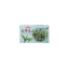 Vitalon Foods CO., LTD. -Ever Spring Tea | Multiple flavors | 20bag - Beverage - Everyday eMall