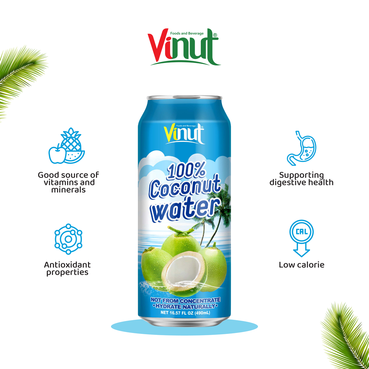 Vinut -Vinut | Sugarcane with Calamansi Juice | 6 packs | 500ml - Beverage - Everyday eMall