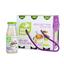 GREENBIRD -Multi-Flavor Bird's Nest Drink Sets, 185ml Per Bottle - - Everyday eMall